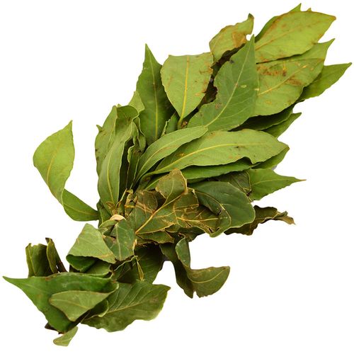 Laurel