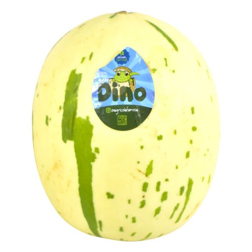 Melón Dino importado